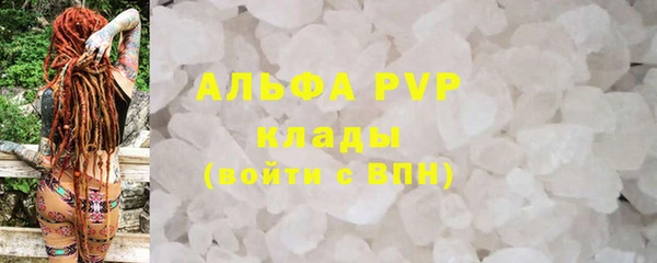 ПСИЛОЦИБИНОВЫЕ ГРИБЫ Белокуриха