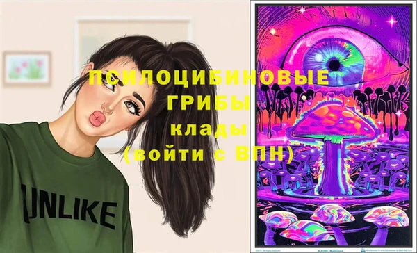 ПСИЛОЦИБИНОВЫЕ ГРИБЫ Белокуриха