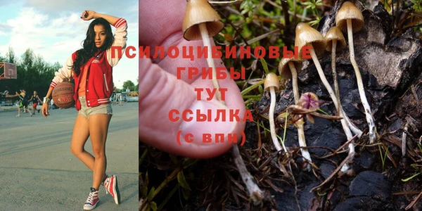 стаф Беломорск