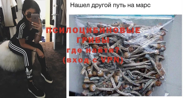 ПСИЛОЦИБИНОВЫЕ ГРИБЫ Белокуриха